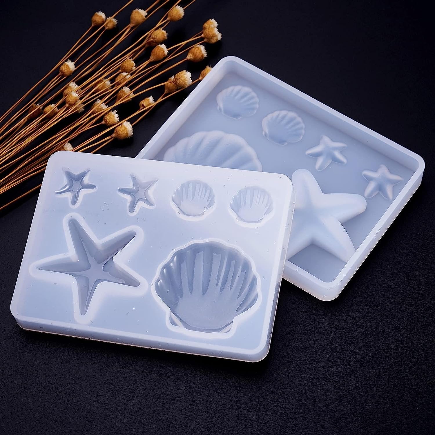 6 Cavity Mini 3D Sea Shell & Star Fish Shaped Clear